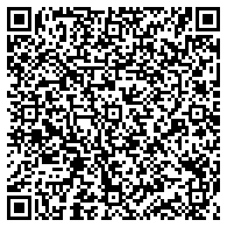 QR-код с контактной информацией организации Скарабей, продуктовый магазин