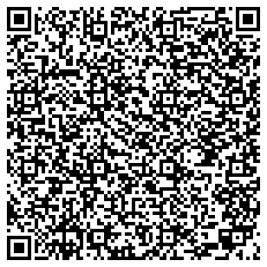 QR-код с контактной информацией организации ВШНИ, Высшая школа народных искусств (институт), Омский филиал