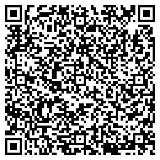 QR-код с контактной информацией организации VIP