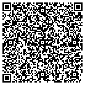 QR-код с контактной информацией организации ИП Ремизова С.В.