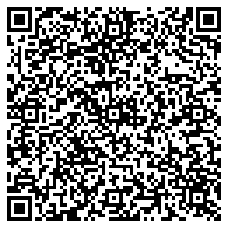 QR-код с контактной информацией организации Ильва, продуктовый магазин