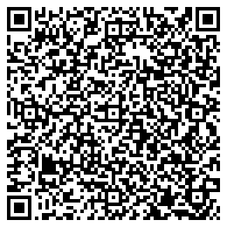QR-код с контактной информацией организации ООО Шина