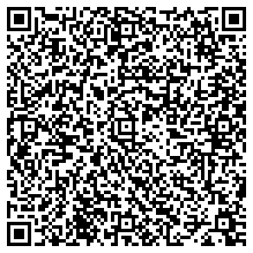 QR-код с контактной информацией организации Детская художественная школа №1 им. Саниных