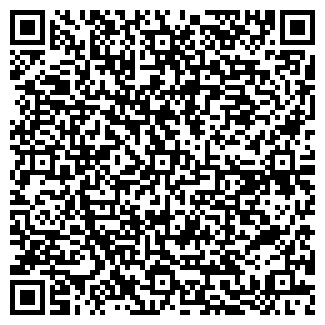 QR-код с контактной информацией организации Amica