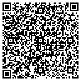 QR-код с контактной информацией организации Fancy