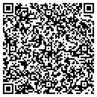 QR-код с контактной информацией организации ИП Сальников Д.С.