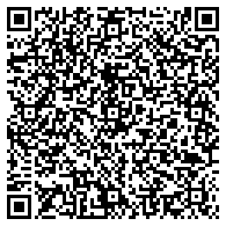 QR-код с контактной информацией организации ИП Ковыляев Н.А.