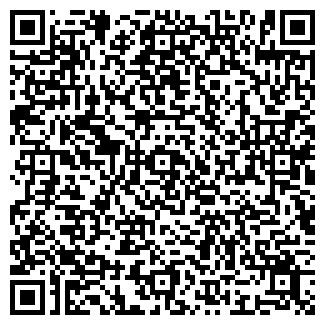 QR-код с контактной информацией организации Лена