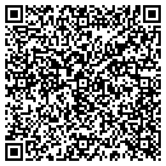 QR-код с контактной информацией организации ИП Старцев В.О.