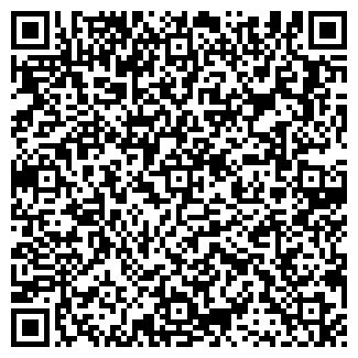 QR-код с контактной информацией организации Tochini