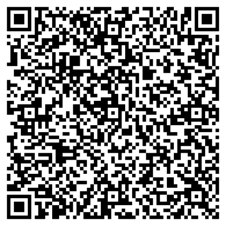 QR-код с контактной информацией организации АЗС Премьер, №1