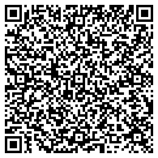 QR-код с контактной информацией организации АЗС Премьер, №3