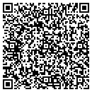 QR-код с контактной информацией организации ИП Ефимова В.Б.