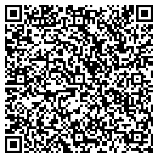 QR-код с контактной информацией организации ЗВЕЗДНЫЙ ДОЖДЬ