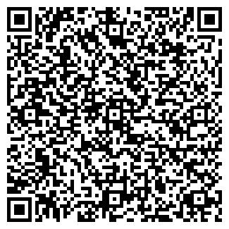 QR-код с контактной информацией организации Дамский сундучок