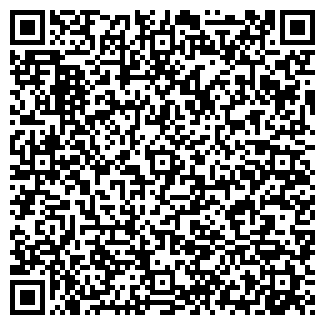 QR-код с контактной информацией организации Магазин игрушек на ул. Репина, 71