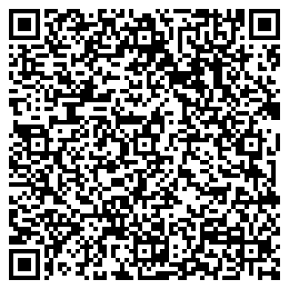 QR-код с контактной информацией организации ИП Алейников А.А.