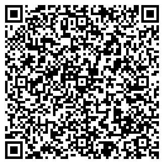 QR-код с контактной информацией организации ИП Ляхина Н.С.
