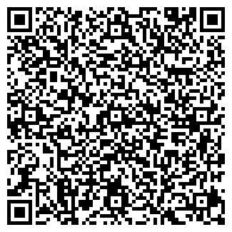 QR-код с контактной информацией организации ИП Ефимова В.Б.