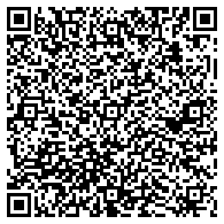 QR-код с контактной информацией организации Великая