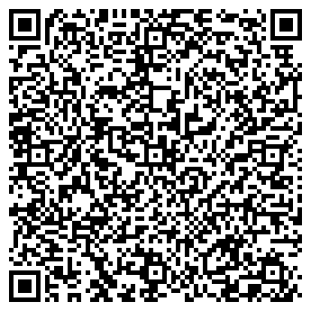 QR-код с контактной информацией организации Radiator Springs