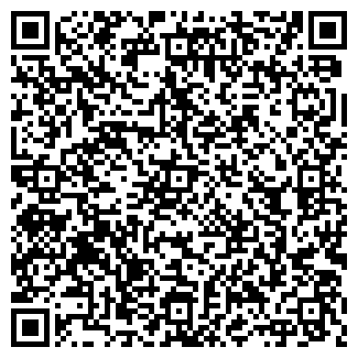QR-код с контактной информацией организации Кингс Шаверма