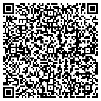 QR-код с контактной информацией организации Людвиг