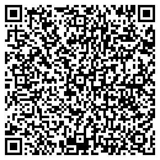 QR-код с контактной информацией организации Dubl