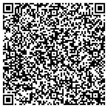 QR-код с контактной информацией организации Шины и Диски в Петровском Пассаже