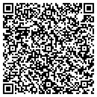 QR-код с контактной информацией организации ИП Никишина С.В.