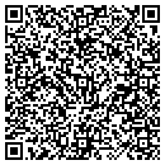 QR-код с контактной информацией организации ИП Наумов И.В.