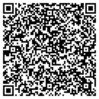 QR-код с контактной информацией организации ИП Ефимов В.А.