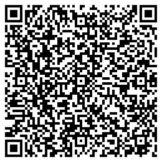 QR-код с контактной информацией организации № 234 ВИТА