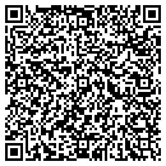 QR-код с контактной информацией организации Детский сад №196