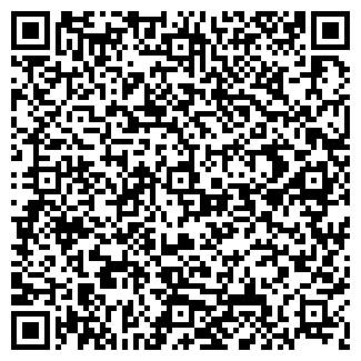 QR-код с контактной информацией организации Ёлки, кафе-бар
