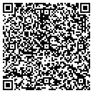 QR-код с контактной информацией организации Копеечка, минимаркет