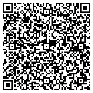 QR-код с контактной информацией организации ДИНА ТД