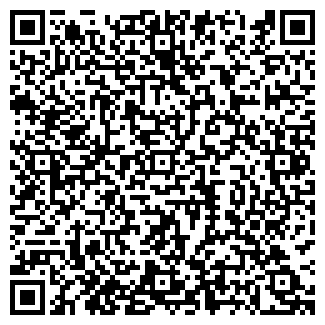 QR-код с контактной информацией организации Продуктовый магазин, ООО Дэла