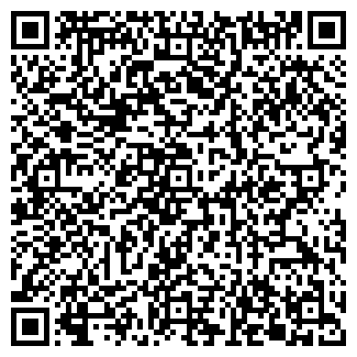 QR-код с контактной информацией организации BAGIRA