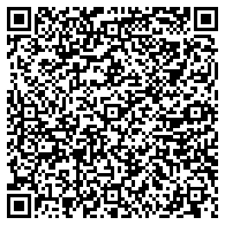 QR-код с контактной информацией организации Шамарики