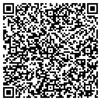 QR-код с контактной информацией организации № 377 ВИТА