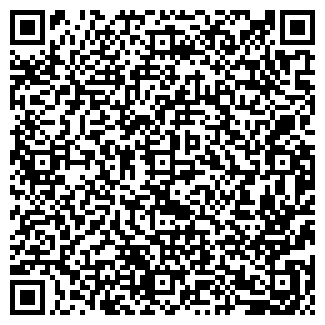 QR-код с контактной информацией организации Эльдорадо