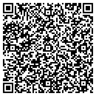 QR-код с контактной информацией организации VIP, сауна