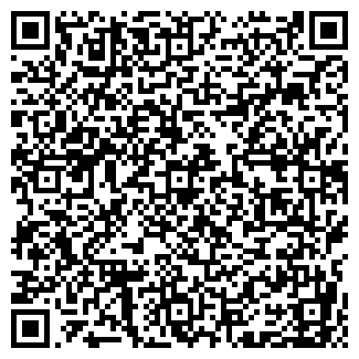QR-код с контактной информацией организации Штирлих