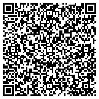 QR-код с контактной информацией организации 300, ООО