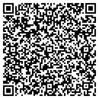 QR-код с контактной информацией организации ИП Богунов Н.Г.