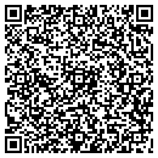 QR-код с контактной информацией организации ИП Алиев Г.А.