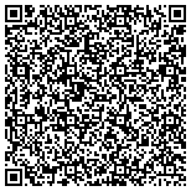 QR-код с контактной информацией организации ИП Чаиндай В.В.