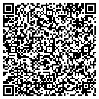 QR-код с контактной информацией организации "Шишка"