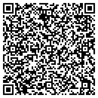 QR-код с контактной информацией организации Оригинал